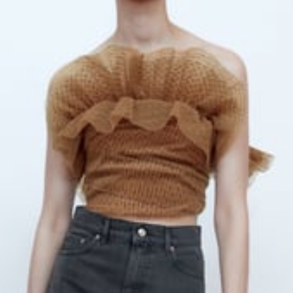 Zara Tulle Croptop